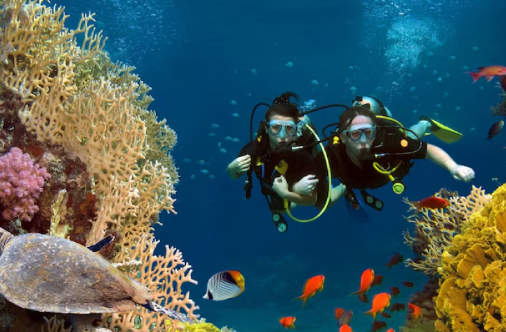 Certificado Médico para Buceo